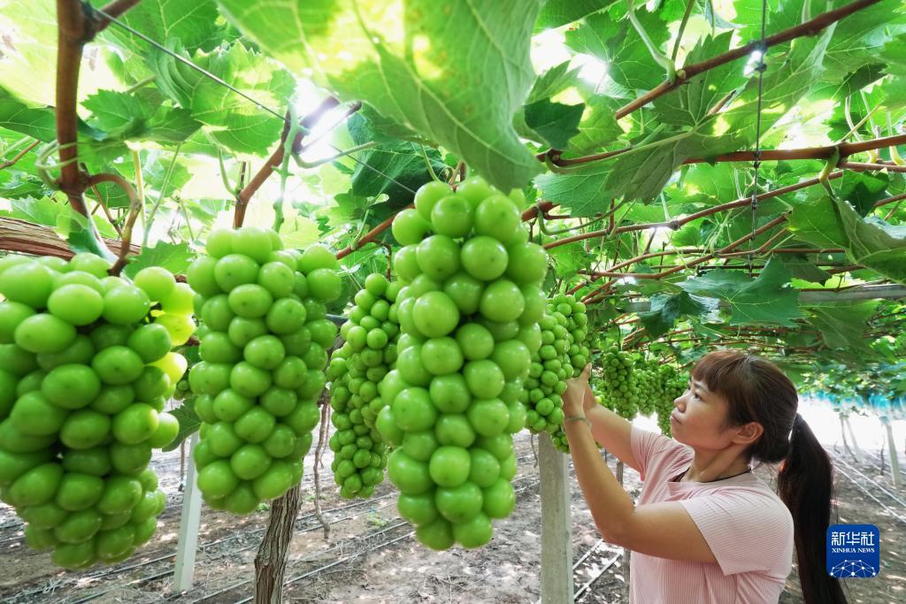 娱乐场开户送礼金