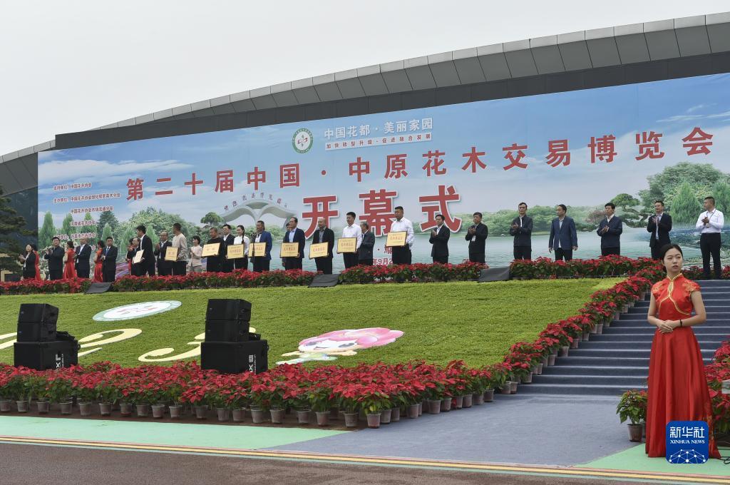 十三人葫芦鱼可以破解吗